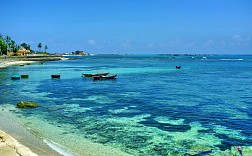 Yêu “không muốn rời” nhịp sống ở mũi Ba Làng An