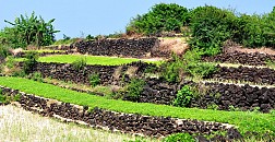 Khám Phá Những Khu Ruộng Bậc Thang Đẹp Như Mơ Ở Lý Sơn