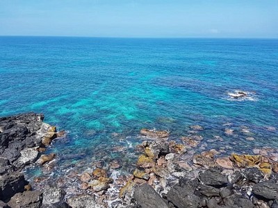 Kinh nghiệm du lịch đảo Lý Sơn