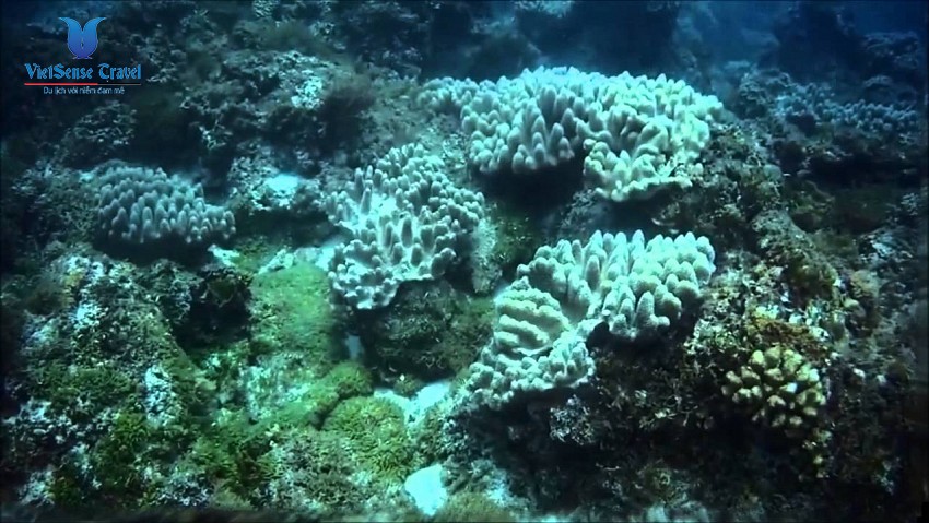 Đảo Bé - Nên đến một lần trong đời