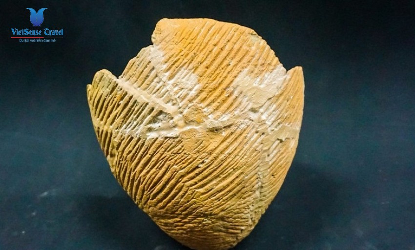 Vẻ đẹp của di tích văn hóa Sa Huỳnh – Lý Sơn