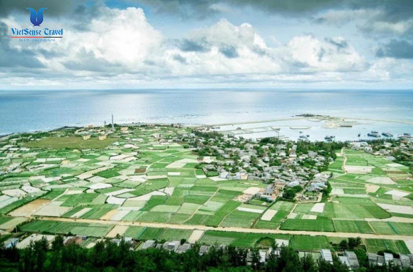 Những cánh đồng tỏi bát ngát trên đảo Lý Sơn