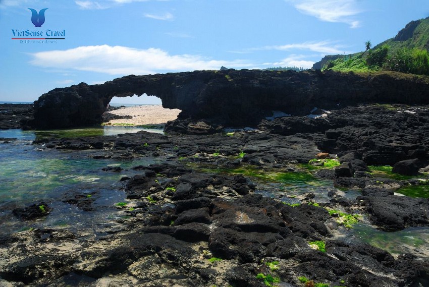 Những cánh đồng tỏi bát ngát trên đảo Lý Sơn